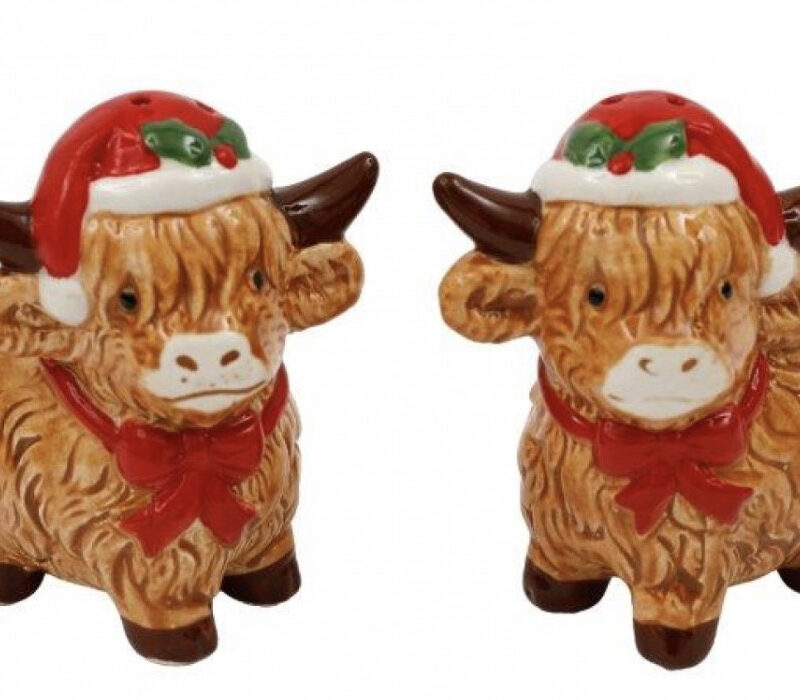 Highland Cow Salt & Pepper Set