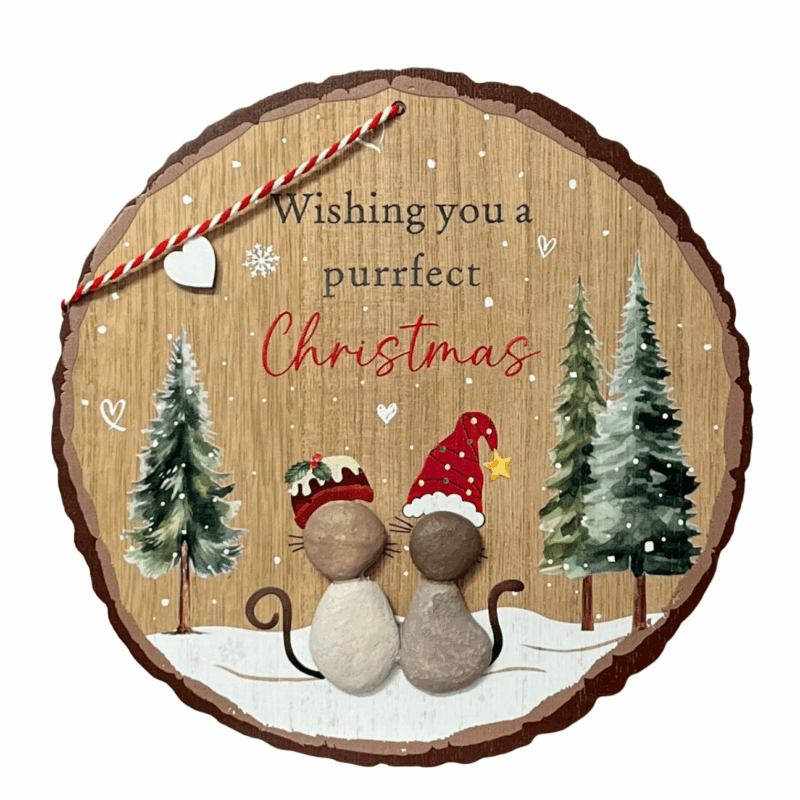 Festive Cat Pebble Hanger