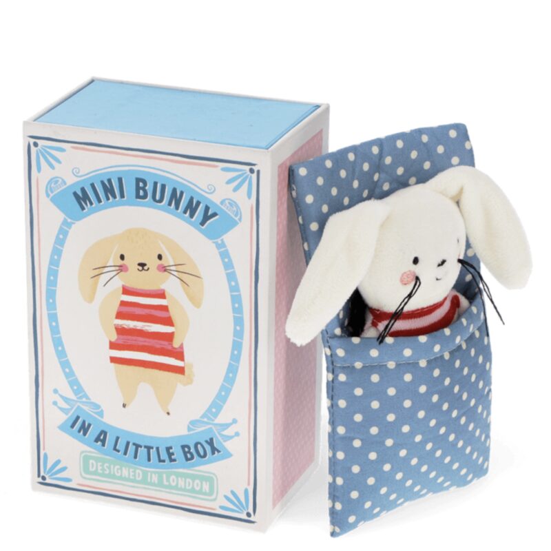 Mini Bunny In A Little Box