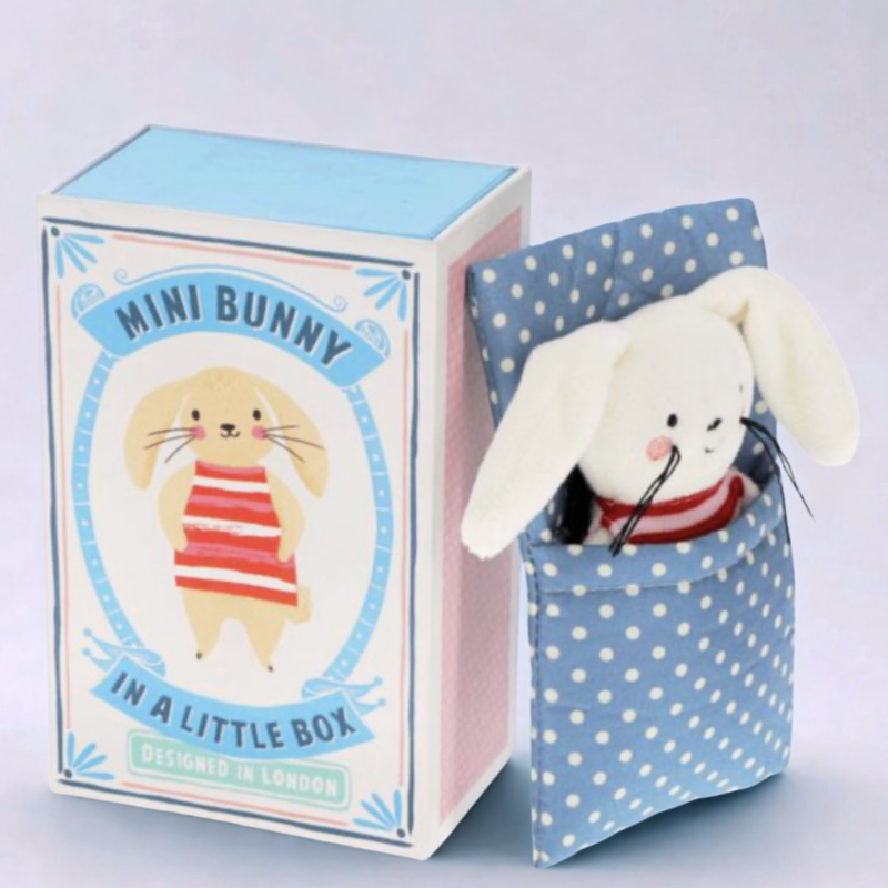 Mini Bunny In A Little Box