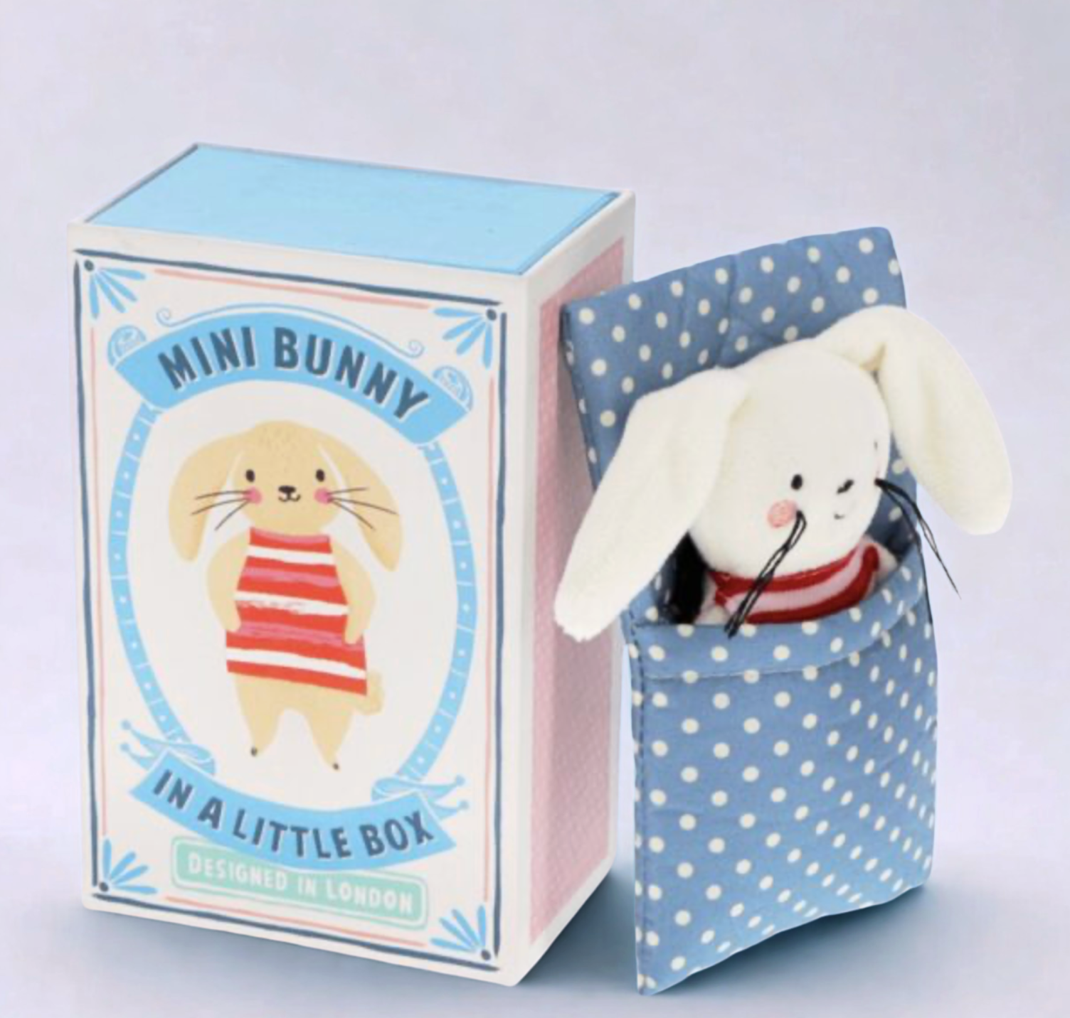 Mini Bunny In A Little Box