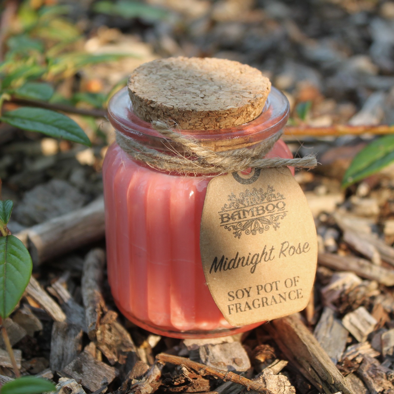 Rose Soy Pot Candle