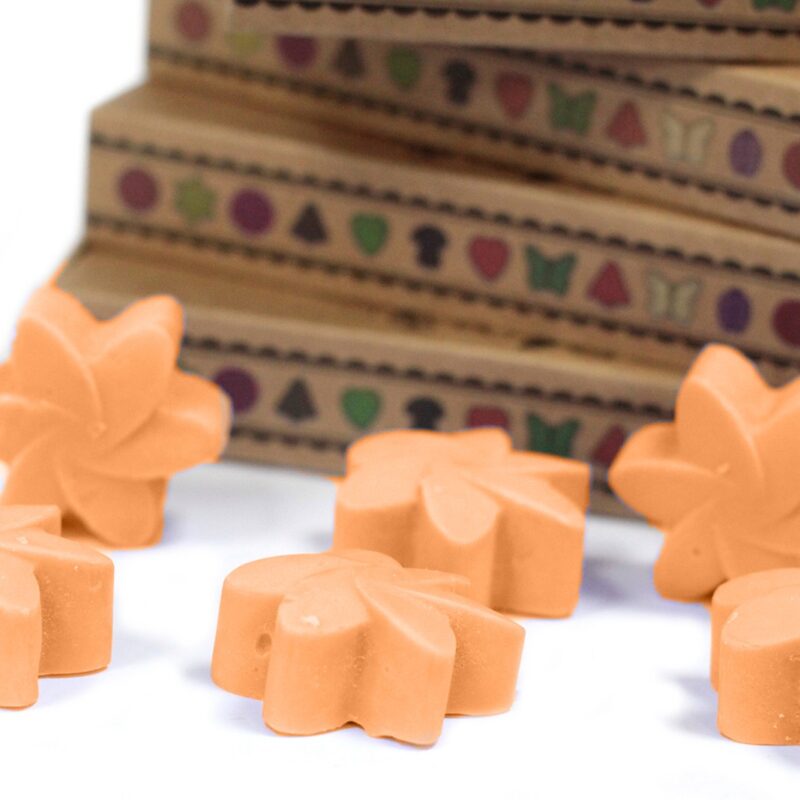 Mango Fruits Wax Melts