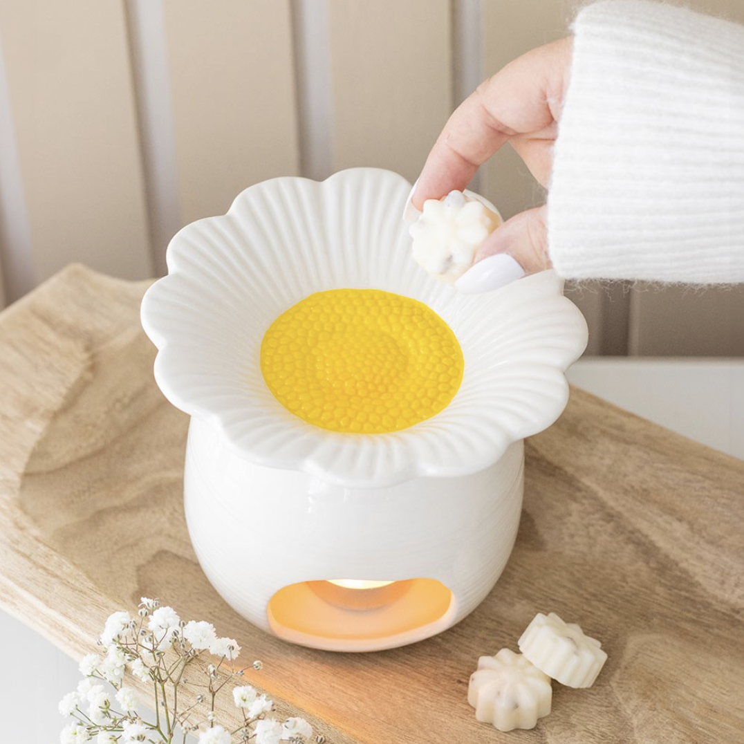 Daisy Oil Burner