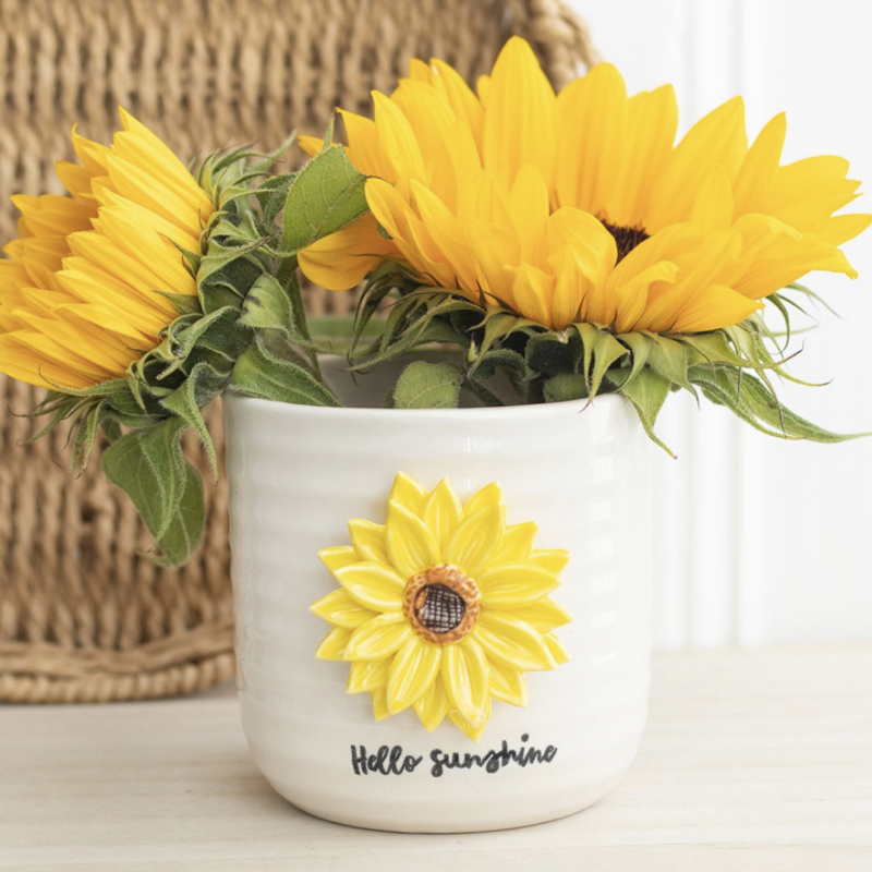 Sunflower Plant Pot