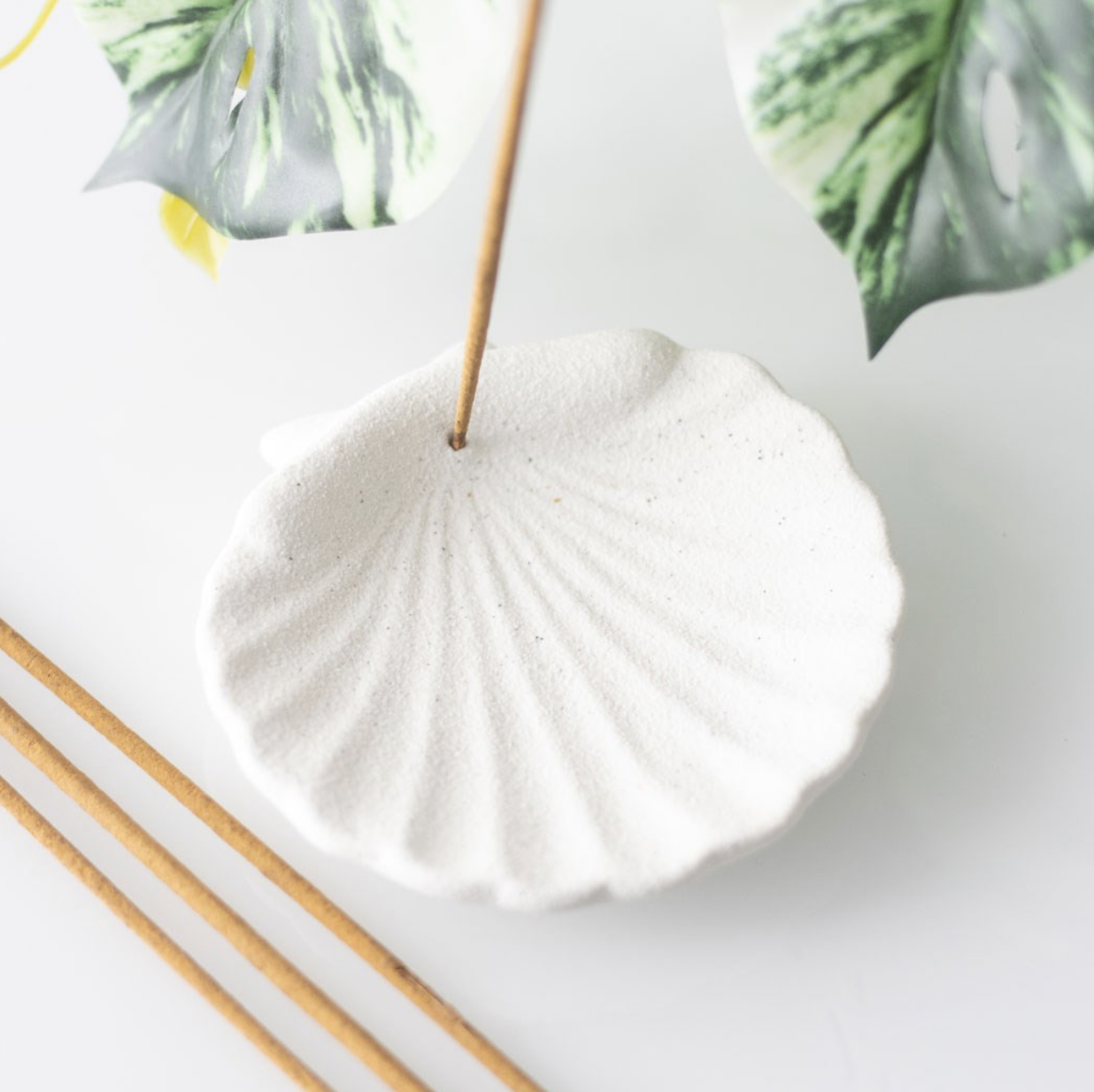 Shell Incense Holder