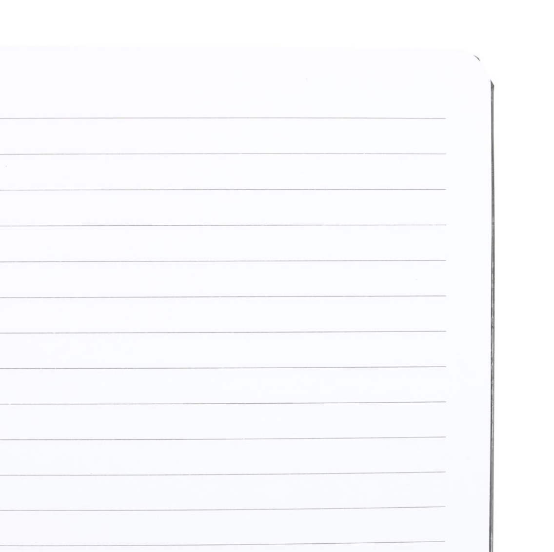 Luna Moth A5 Notebook - Image 3