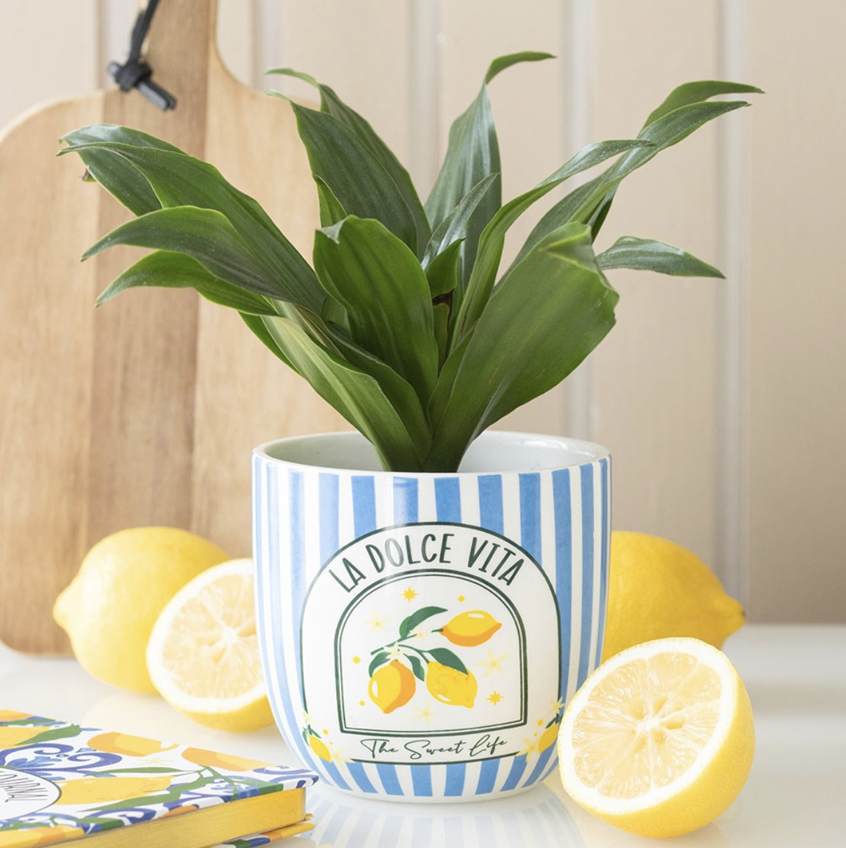 La Dolce Plant Pot