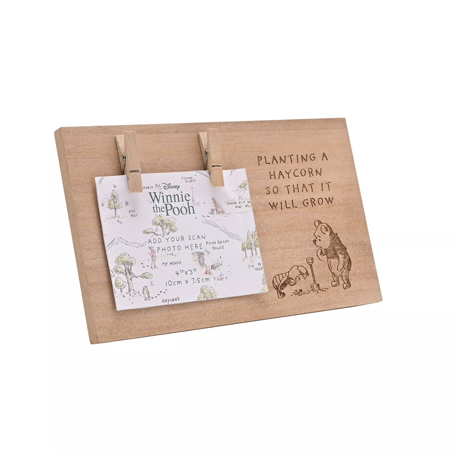 Disney Baby Scan Frame