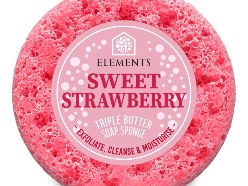 Strawberry Soap Sponge