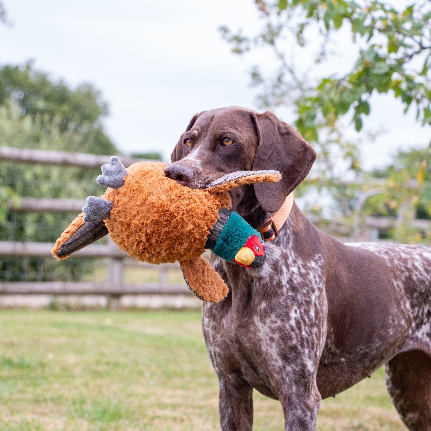 Pheasant Dog Toy - Image 2